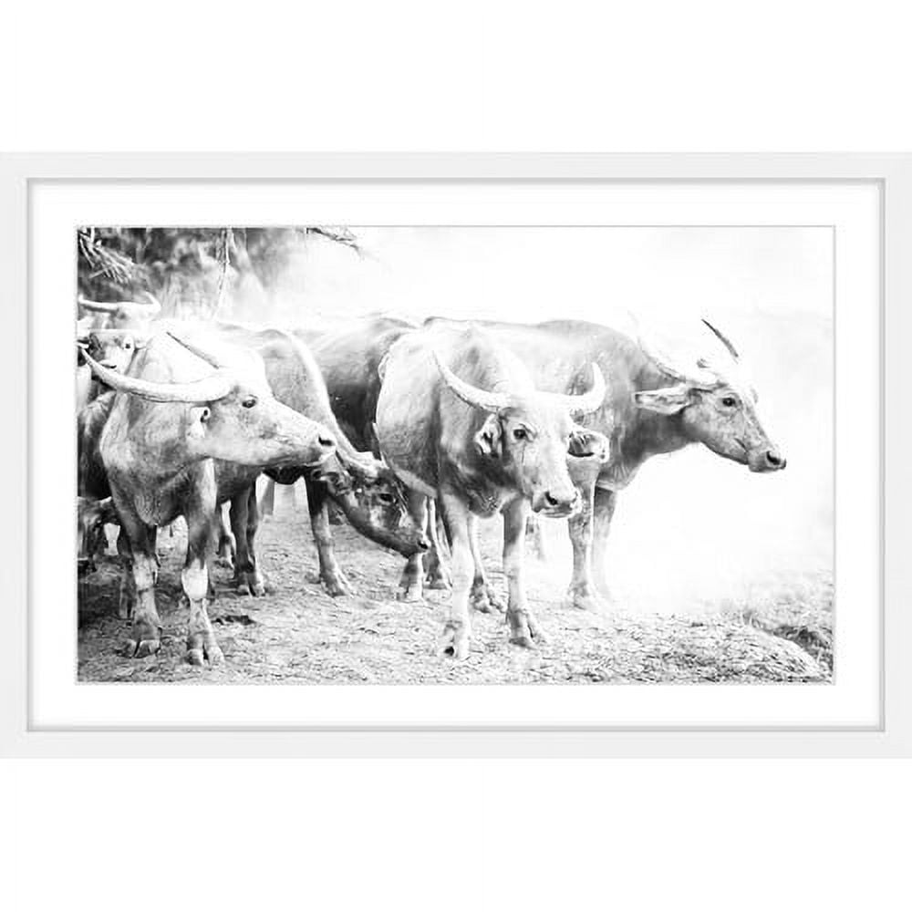 Marmont Hill "Bovine Herd" Framed Painting Print