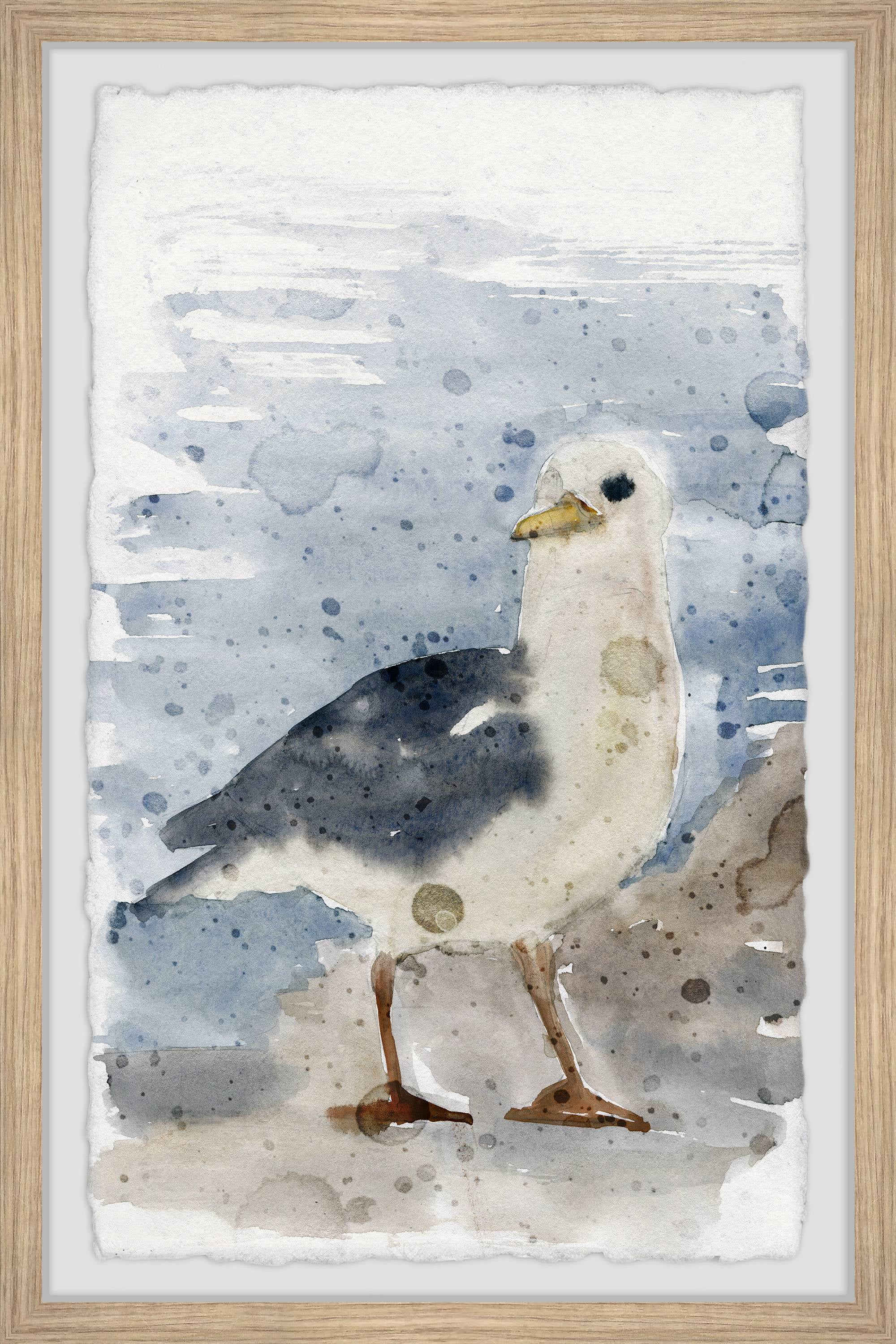 Inquisitive Seagull Watercolor Print in Wooden Frame