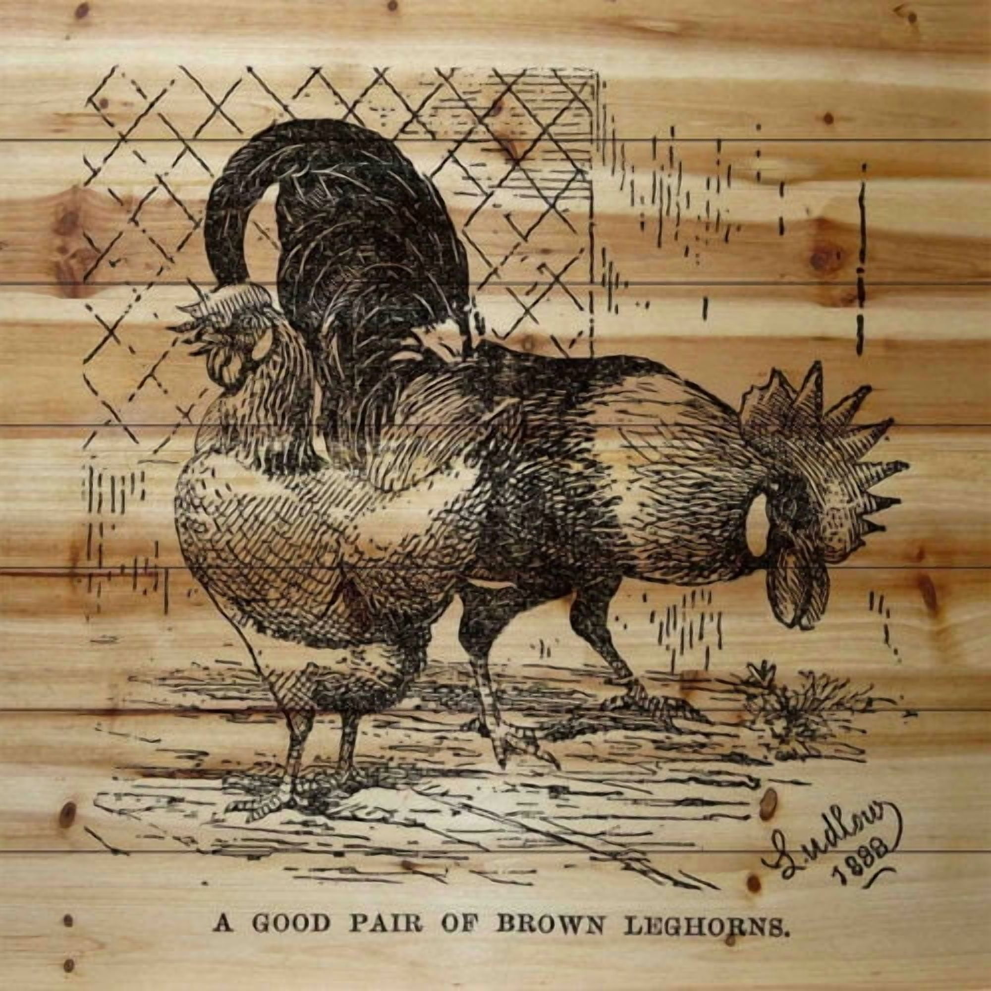 Marmont Hill "Brown Leghorns" Painting Print on Natural Pine Wood