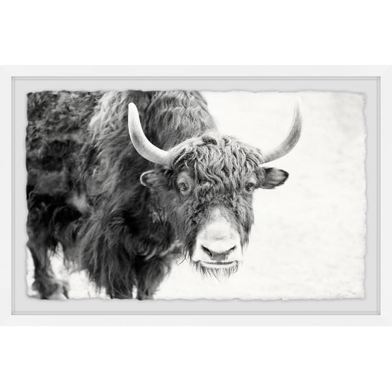 Marmont Hill Buffalo Forward Framed Wall Art, 12" x 18"
