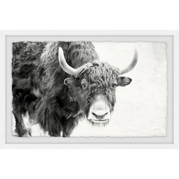 Marmont Hill Buffalo Forward Framed Wall Art, 8" x 12"