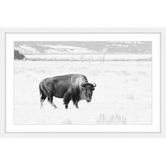 Marmont Hill "Buffalo Gaze" Framed Painting Art Print