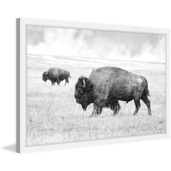 Marmont Hill "Buffalo Pair" Framed Painting Print