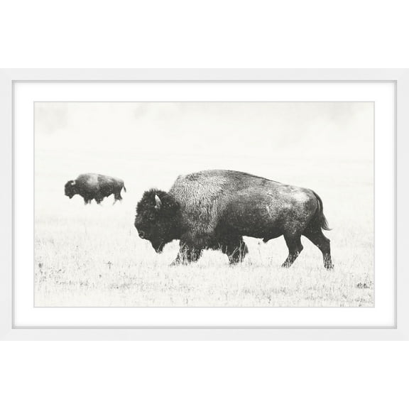 Marmont Hill Buffalo Pair Framed Wall Art, 12" x 18"