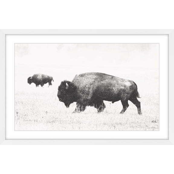 Marmont Hill Buffalo Pair Framed Wall Art, 20" x 30"