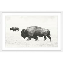 Marmont Hill Buffalo Pair Framed Wall Art, 8" x 12"