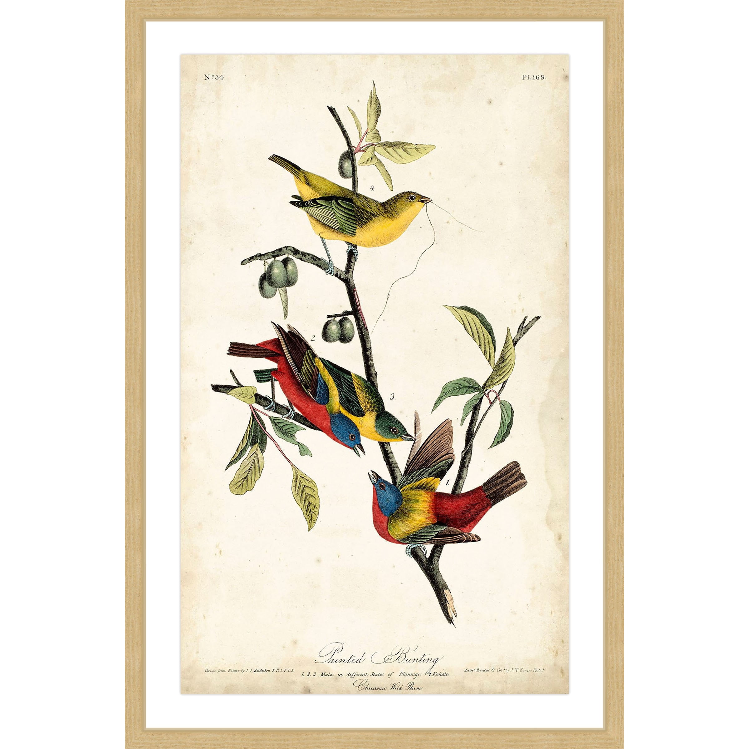 Marmont Hill "Bunting" Framed Painting Print
