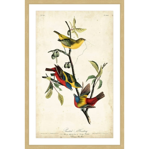 Marmont Hill "Bunting" Framed Painting Print