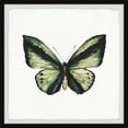 thumbnail image 1 of Marmont Hill Butterfly Butterflies Framed Art Prints, 1 of 6