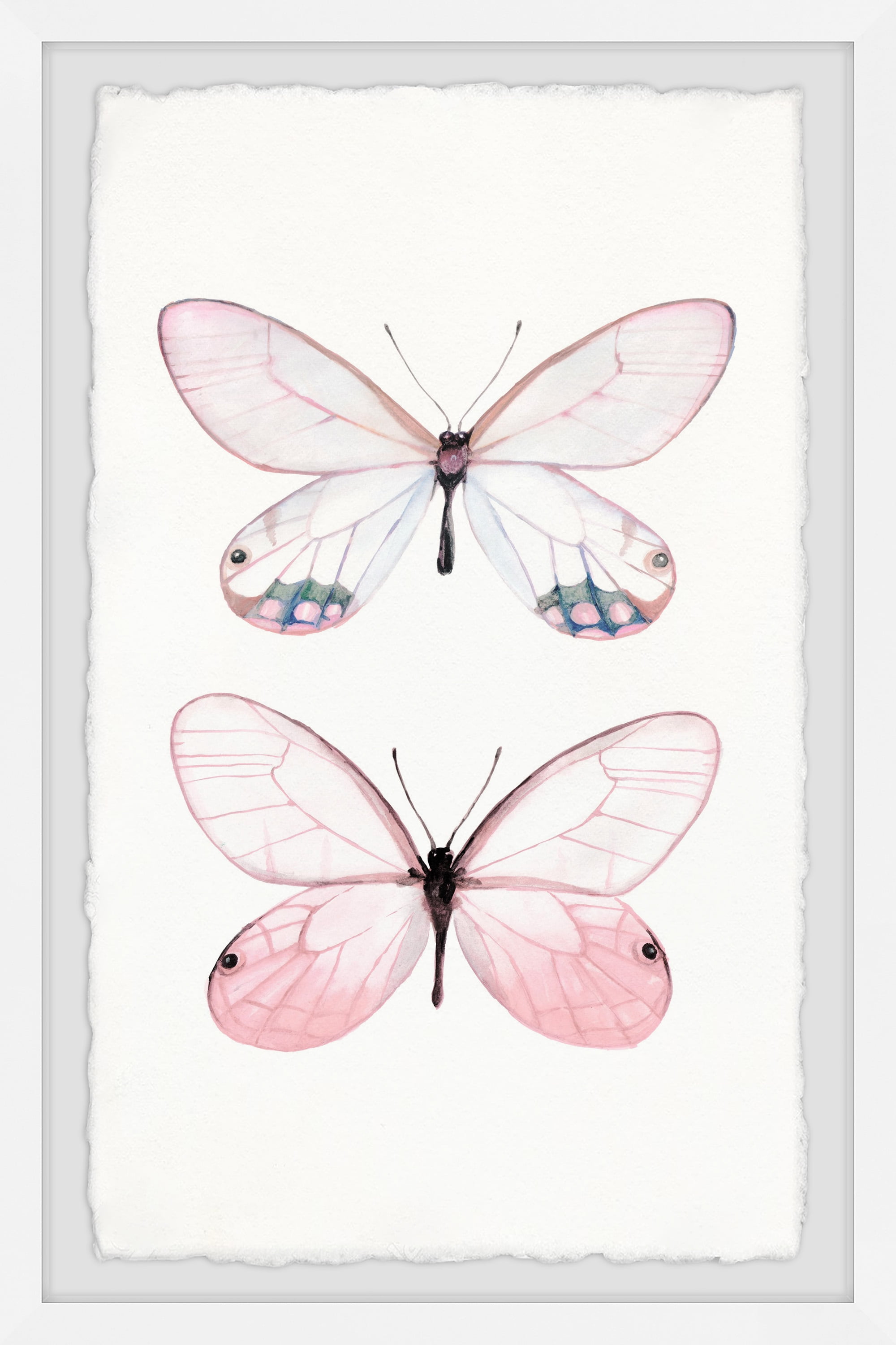 18" x 12" Pink and White Butterfly Canvas Print