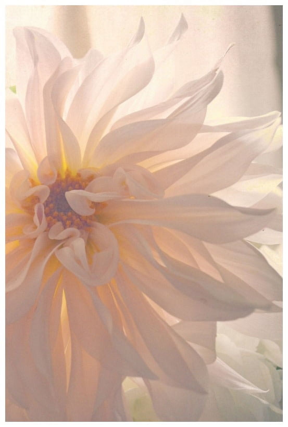 Marmont Hill "Buy Her Flowers" by Robert Dickinson Painting Print on Canvas