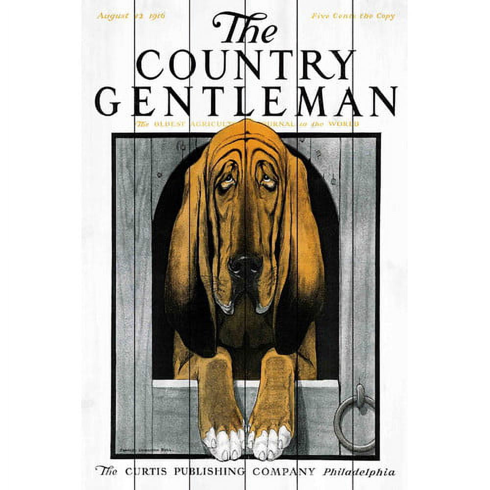 Marmont Hill "CD Dog 2" Painting Print on White Wood
