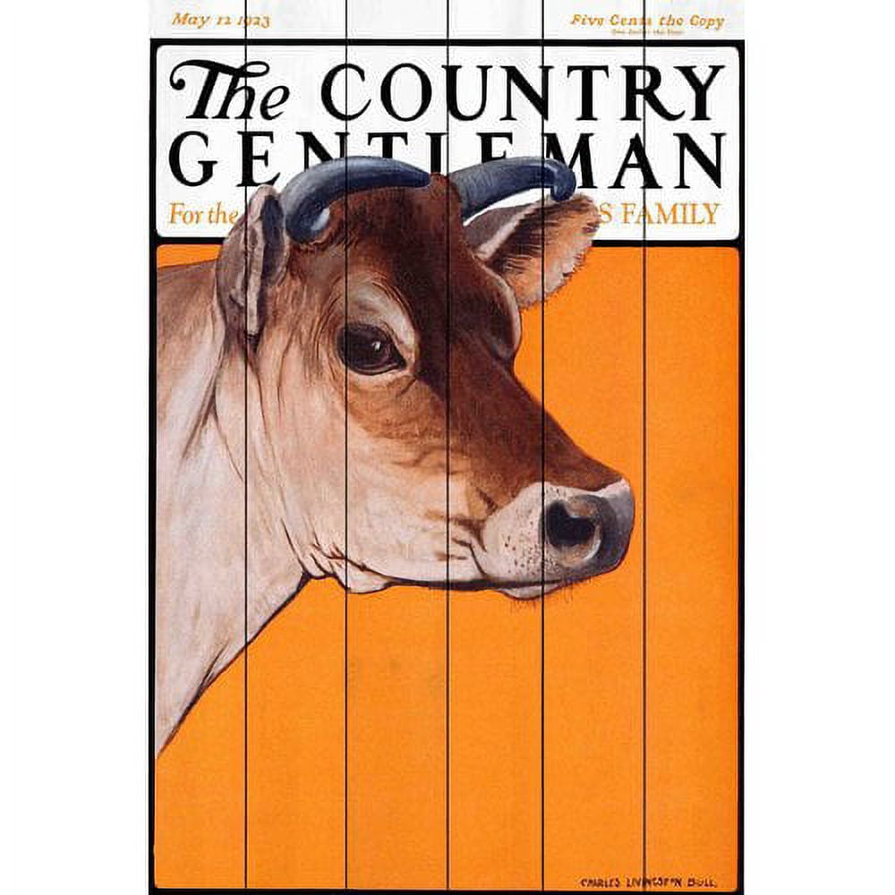 Marmont Hill "CG Calf" Painting Print on White Wood