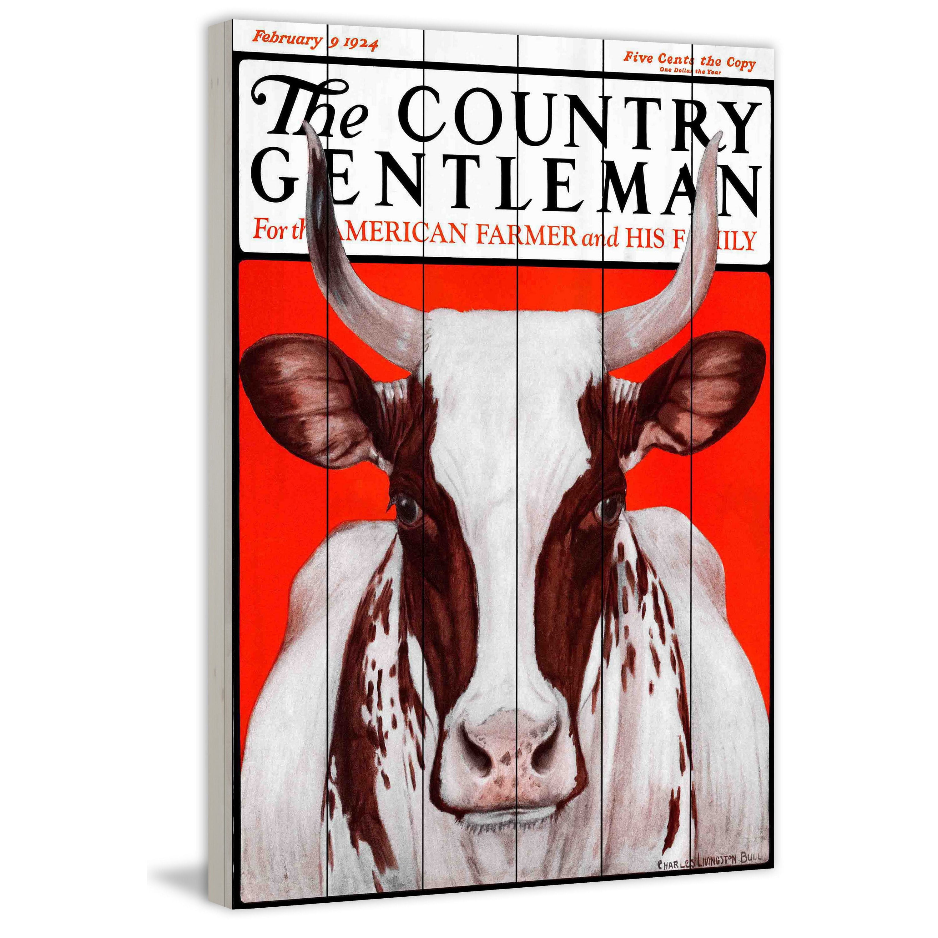 Marmont Hill "CG Cow Brown-White" Painting Print on White Wood