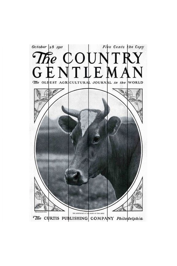 "CG Cow" Painting Print on White Wood