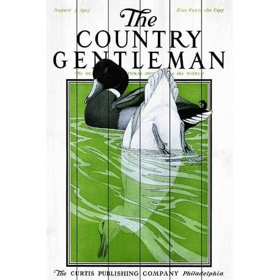 Marmont Hill "CG Ducks" Painting Print on White Wood