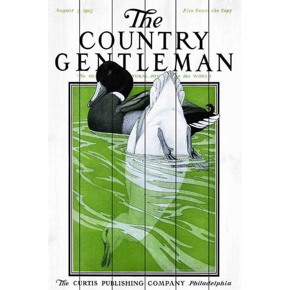 Marmont Hill "CG Ducks" Painting Print on White Wood