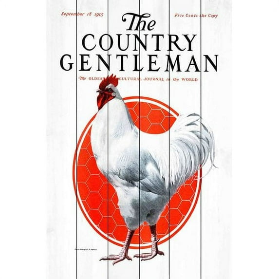 Marmont Hill "CG Fowl" Painting Print on White Wood