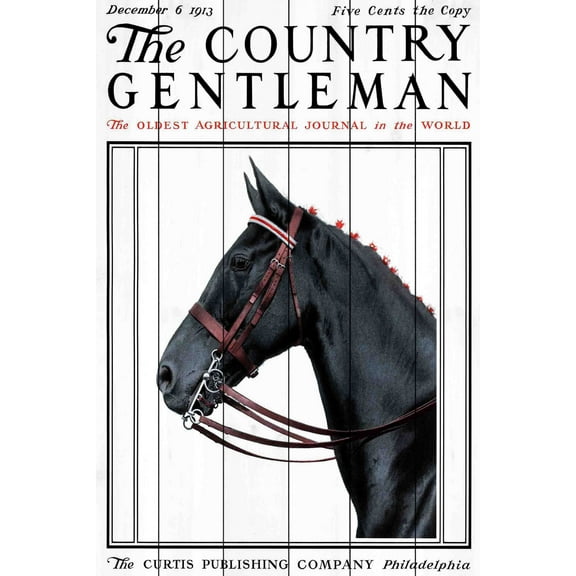 Marmont Hill "CG Horse 2" Painting Print on White Wood