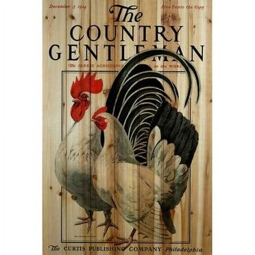 Marmont Hill "CG Poultry" Painting Print on Natural Pine Wood