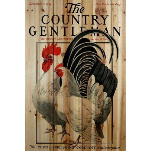 Marmont Hill "CG Poultry" Painting Print on Natural Pine Wood