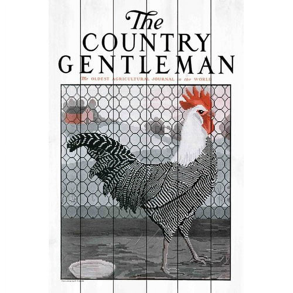 Marmont Hill "CG Rooster 2" Painting Print on White Wood