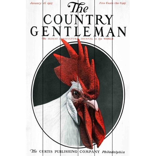 Marmont Hill "CG Rooster" Painting Print on White Wood