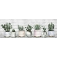 thumbnail image 1 of Marmont Hill Cactus Sets White Wood Wall Art, 1 of 7