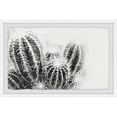 thumbnail image 1 of Marmont Hill Cactus Spines Framed Wall Art, 16" x 24", 1 of 5