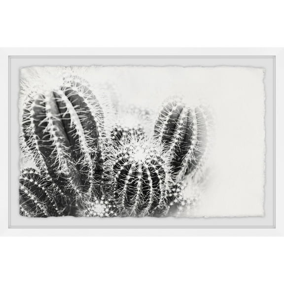 Marmont Hill Cactus Spines Framed Wall Art, 8" x 12"