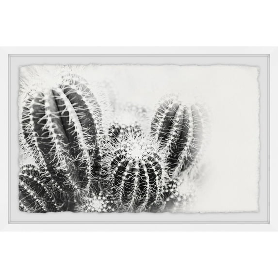 Marmont Hill Cactus Spines Framed Wall Art, 8" x 12"