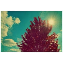 Marmont Hill "Change Is Beautiful" by Robert Dickinson Painting Print on Canvas