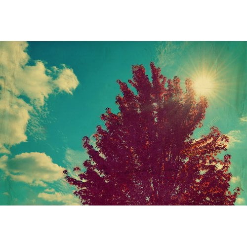 Marmont Hill "Change Is Beautiful" by Robert Dickinson Painting Print on Canvas