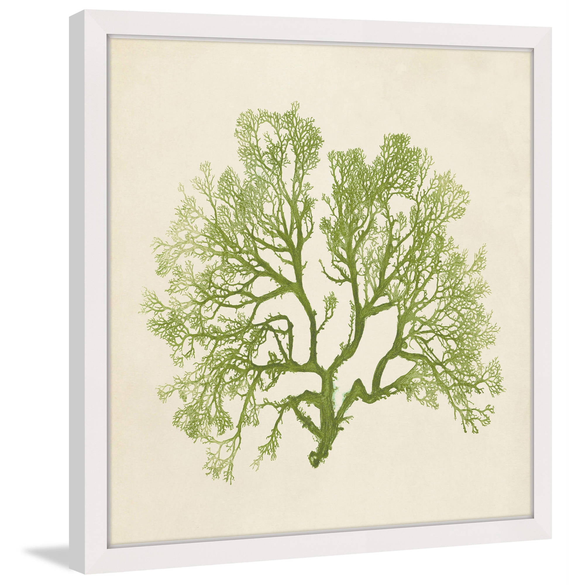 Marmont Hill "Chromatic Seaweed VI" Framed Painting Print