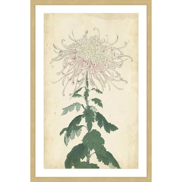 MARMONT HILL  - 'Chrysanthemum IV' Framed Painting Print - Multi-Color 16 x 24