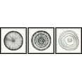 thumbnail image 1 of Marmont Hill Circle Bloom Triptych, Art Prints, 96.00" x 1.50", 1 of 6