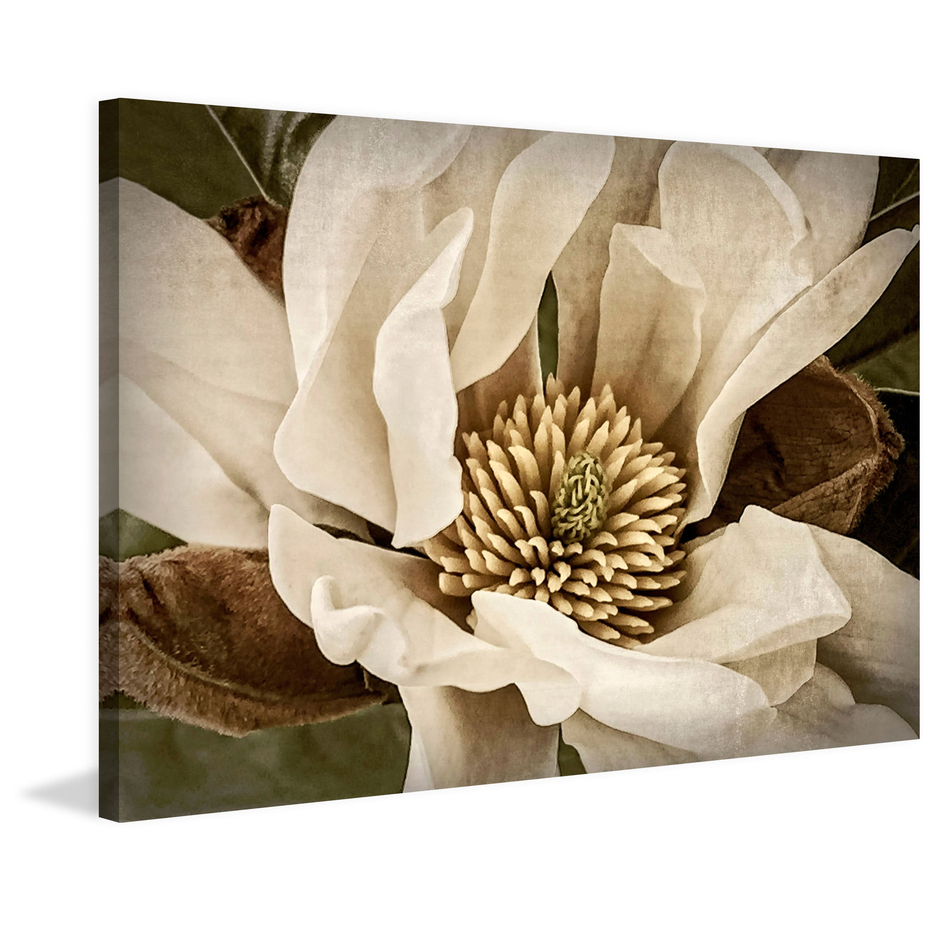 Marmont Hill Classic Magnolia II Canvas Wall Art