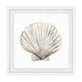 thumbnail image 1 of Marmont Hill Classic Shell Framed Painting Print, 1 of 3