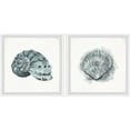 thumbnail image 1 of Marmont Hill Classy Shell Ii Diptych, Art Prints 48.00" x 1.50", 1 of 6