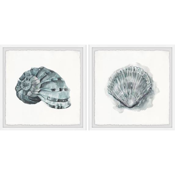 Marmont Hill Classy Shell Ii Diptych, Art Prints 48.00" x 1.50"
