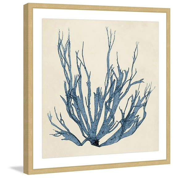 Marmont Hill Coastal Seaweed I Framed Wall Art