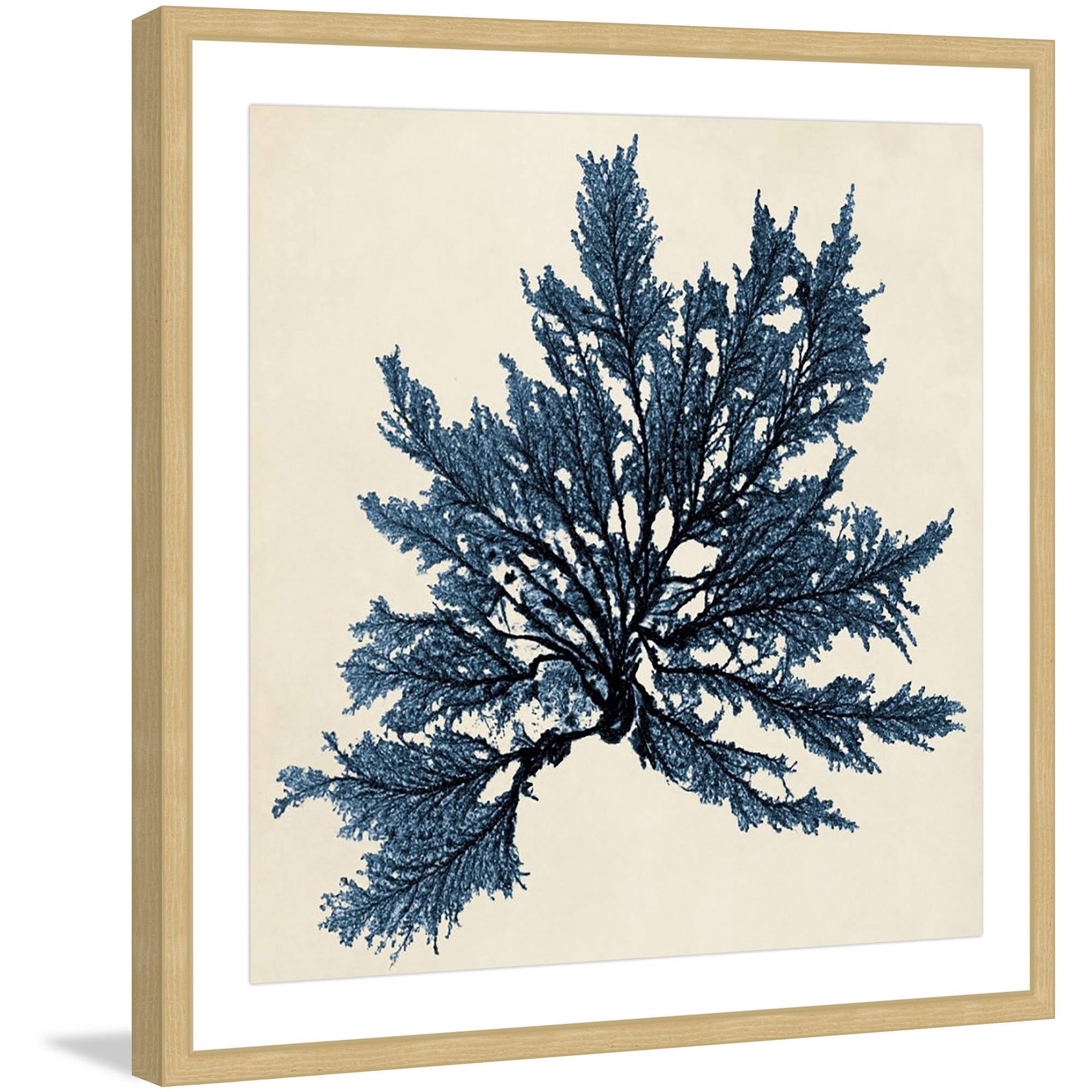Marmont Hill "Coastal Seaweed IX" Framed Painting Print