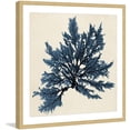 thumbnail image 1 of Marmont Hill "Coastal Seaweed IX" Framed Painting Print, 1 of 5
