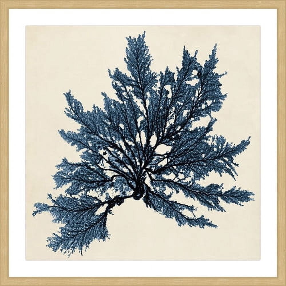 Marmont Hill "Coastal Seaweed IX" Framed Painting Print