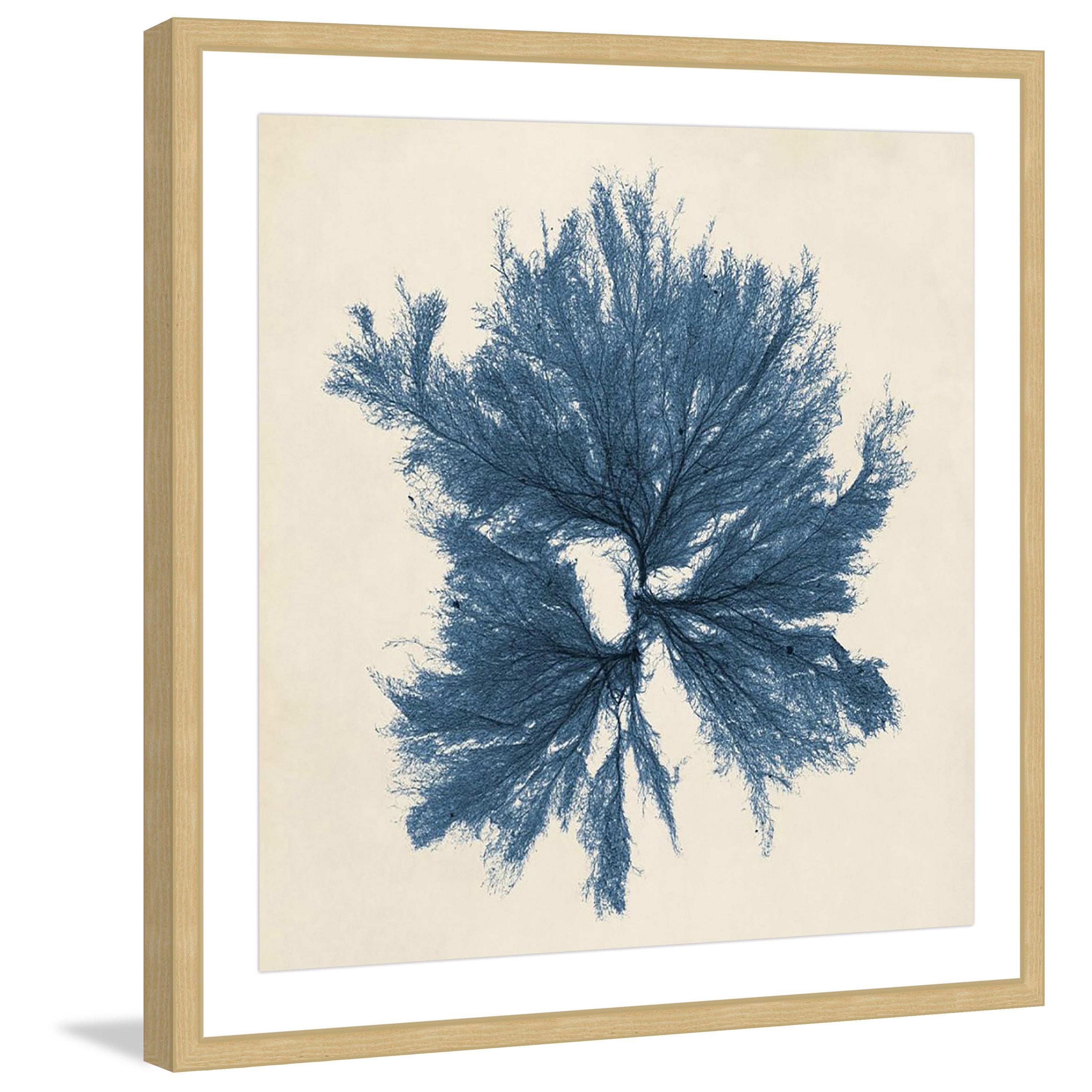 Marmont Hill "Coastal Seaweed V" Framed Painting Print