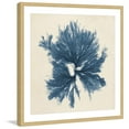 thumbnail image 1 of Marmont Hill "Coastal Seaweed V" Framed Painting Print, 1 of 5