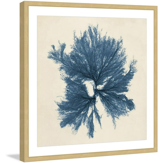 Marmont Hill "Coastal Seaweed V" Framed Painting Print