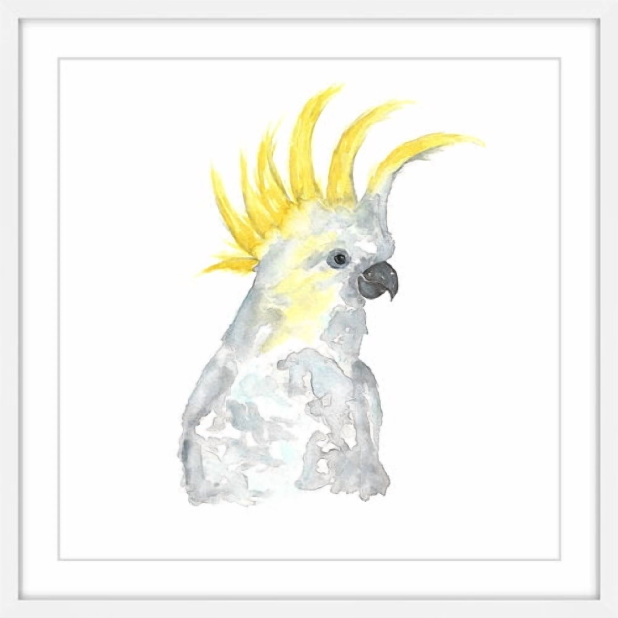 Marmont Hill "Cockatoo" by Thimble Sparrow Framed Painting Print