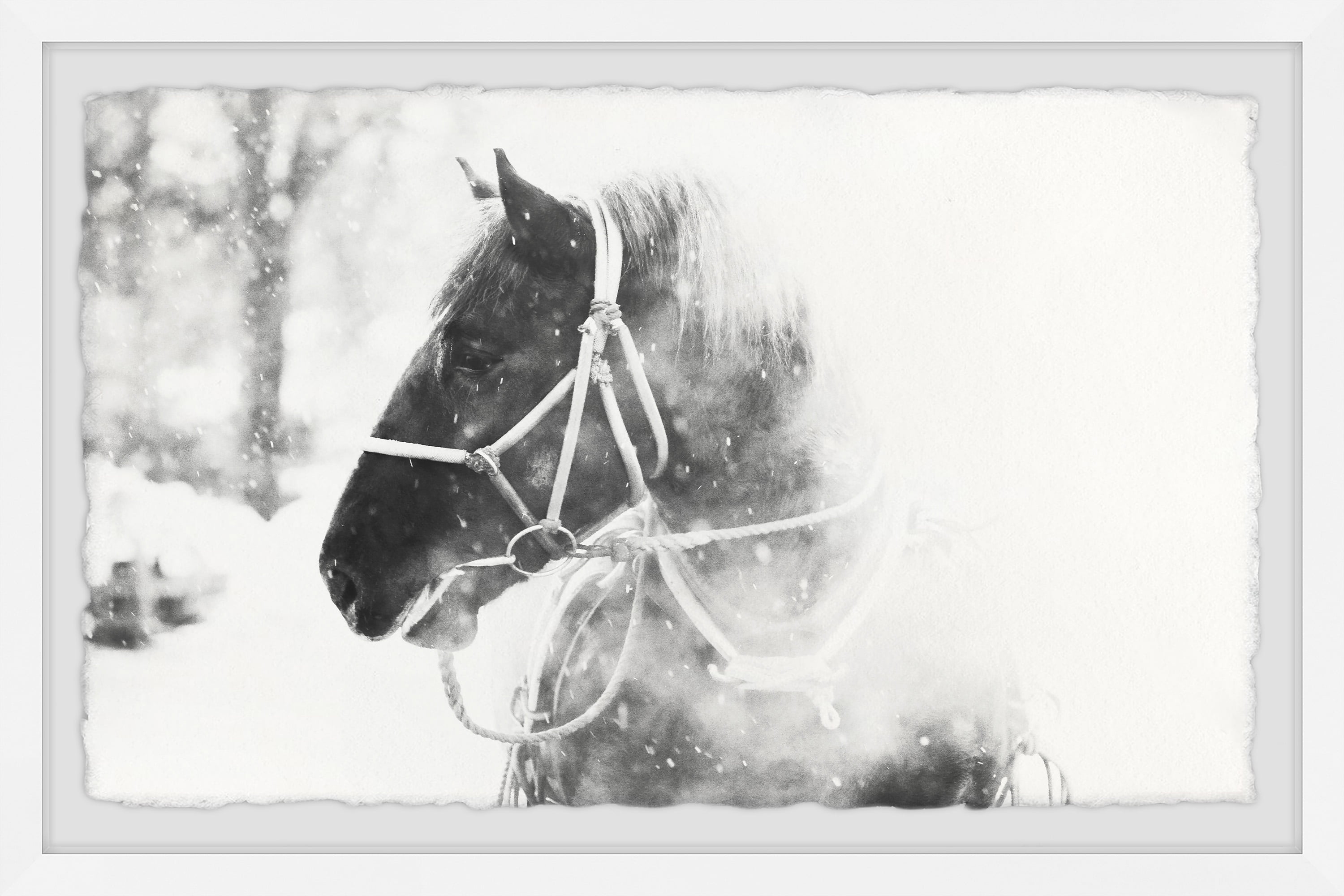 Cold Breath Black and White Framed Canvas Print, 8" x 12"