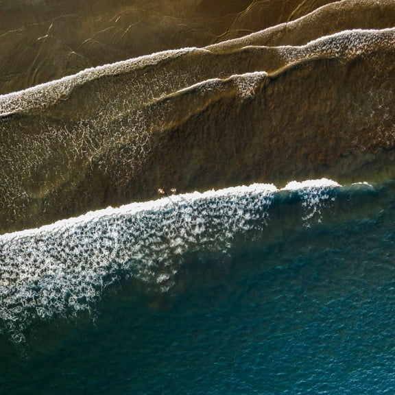 Marmont Hill "Color Changes" by Karolis Janulis Painting Print on Wrapped Canvas